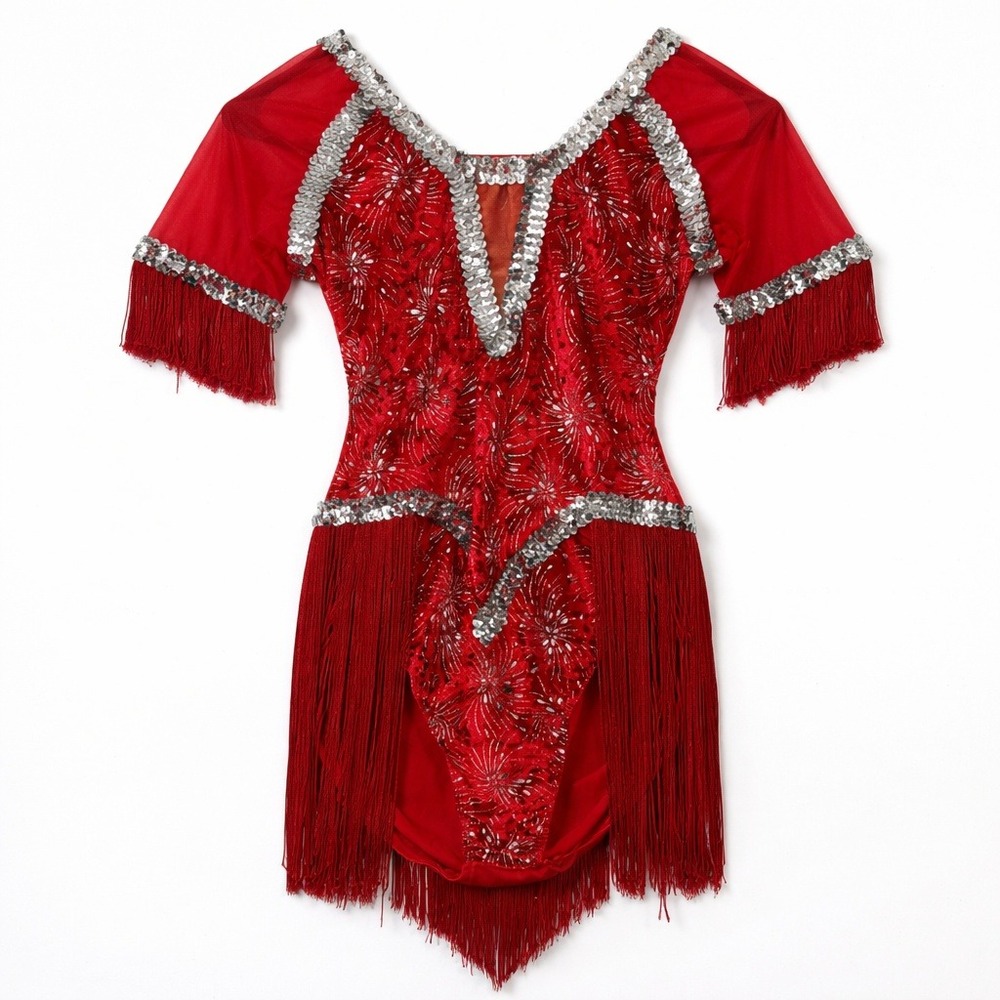 Vtg Red Sequin Fringe Dance Leotard Bodysuit Velvet Silver Cosplay Burlesque